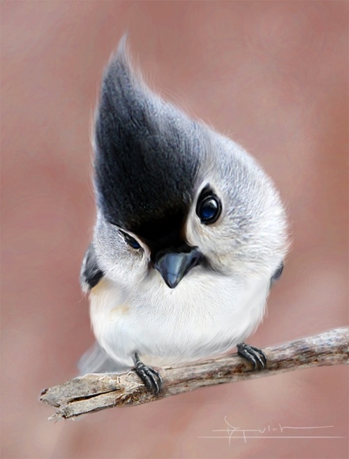 cute_bird